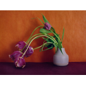 Bouquet, Tulipes Perroquets