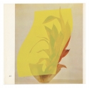 Ikebana 44 - The poetry of leaves