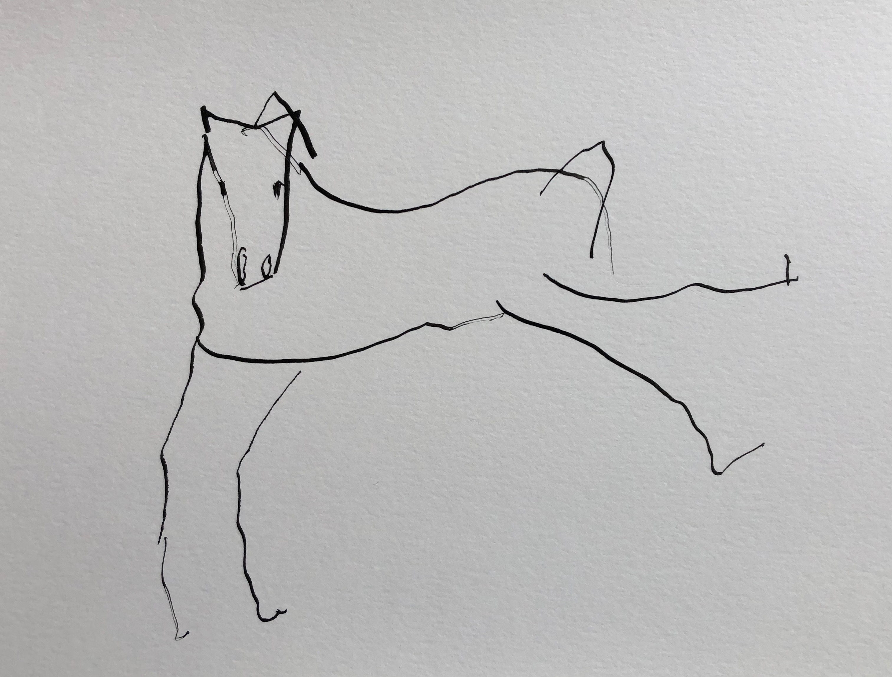 Variations sur un cheval 3