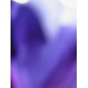 Photodiaprure Bleu indigo violet