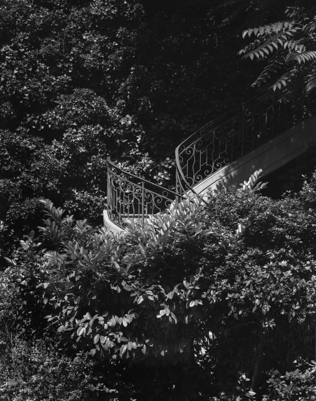Escalier Scpo Photographie Bertrand Clech Zeuxis